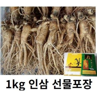 50대 부모님 생일선물 추천 TOP6 — 절대 자기 돈으로는 안 사는 것들